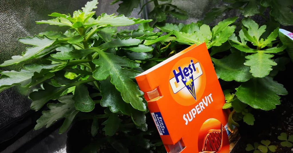 Logistique des Plantes Hesi SuperVit