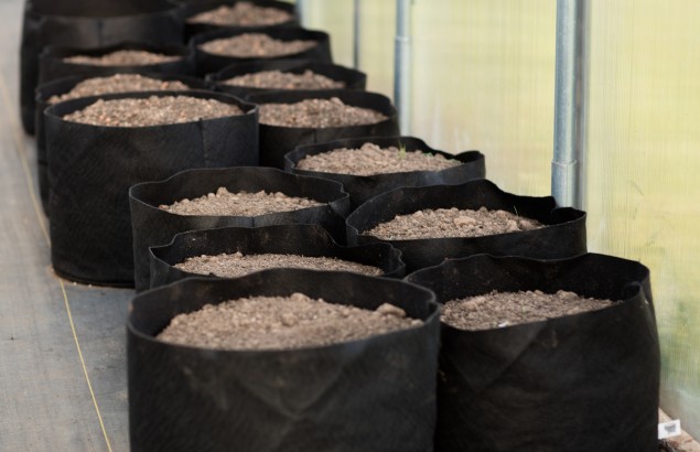 Smart Pot Géotextile Remplis de substrat prêt pour la croissance