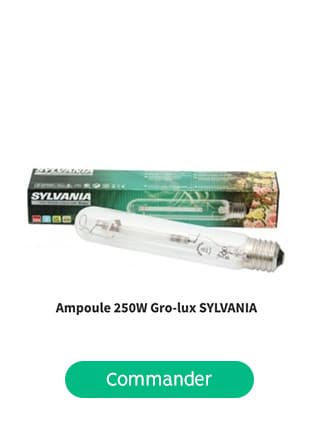 ampoule 250w gro-lux hps led hw sylvania