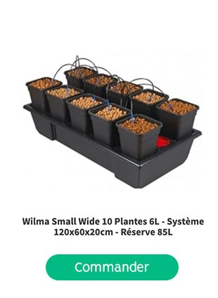 Hydro&Culture Morlaix wilma small wide 10 plantes 6l système hydroponie