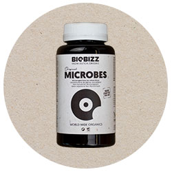 Biobizz Microbes germination