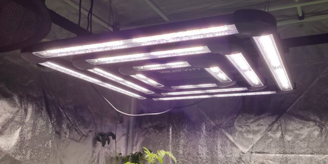 Quel Panneau LED choisir pour sa culture d'intérieur