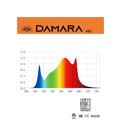 Spectre Lumineux DAMARA 480W