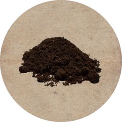 Engrais Terralba Guano Chauve-Souris Floraison Poudre Enracinement Croissance Culture d'Intérieur