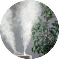 Mist Maker Humidificateur Brume Humidité Relative Plantes d'Intérieur Culture Indoor