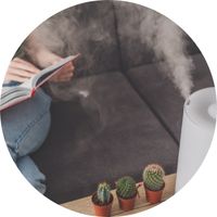 Humidificateur pour contrôler l'humidité de ses plantes en culture indoor