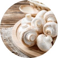 Cultiver les champignons en intérieur indoor champignon de paris manger planche de bois shrooms champis champikit magique pleurotes shiitakés
