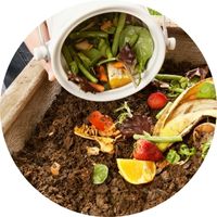 Compost Obligatoire Déchets Organiques Naturels Loi Janvier 2024 Changement Législation Recyclage Écologie Geste Responsable 