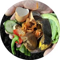 Déchets Organiques Biodégradables coquille d'oeuf légume fruit épluchures nature bio écologie geste pour la planète cuisine aliments nourriture