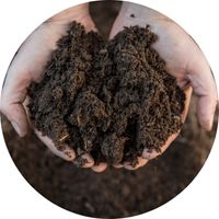 Que faire avec le compost jardinage urbain comment s'en servir engrais fertilisant naturel croissance floraison terre plante quels ingrédients utiliser mettre dans Mains Remplies Terreau